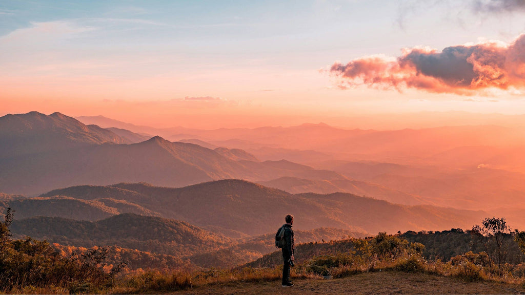 The Art of Living in the Moment