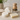 Natural Dish Washing Bundle - Bars, Brush & Soap